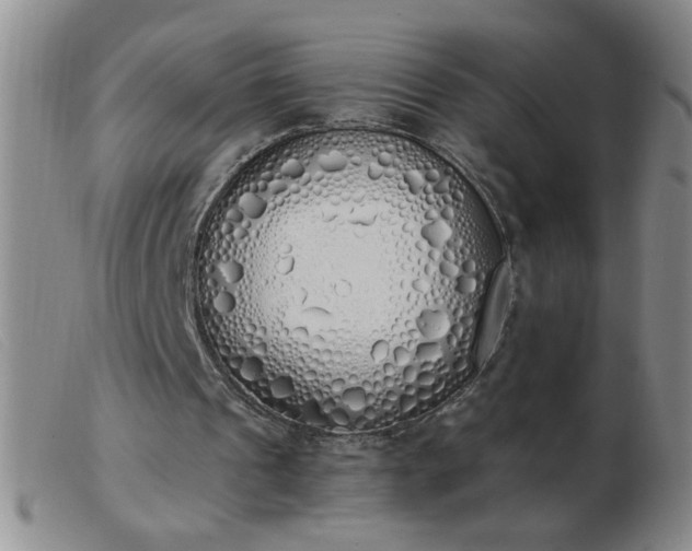 X0000103500241200809191952