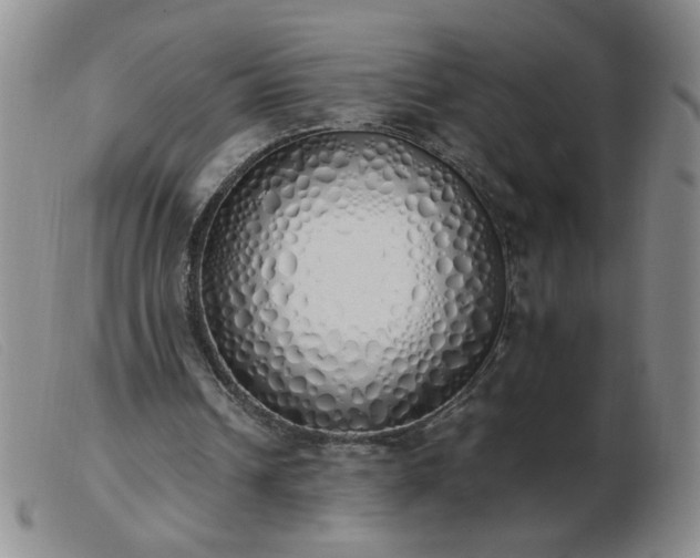 X0000103500242200809191952