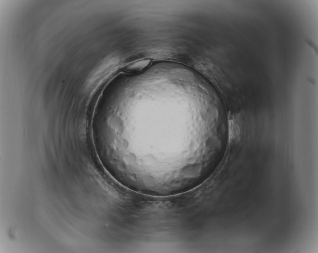 X0000103500243200809191952