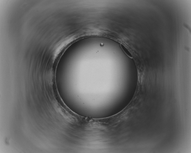 X0000103500244200809191952