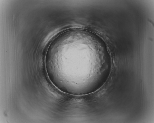 X0000103500247200809191952