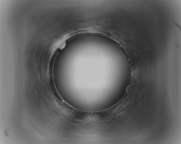 X0000103500248200809191952