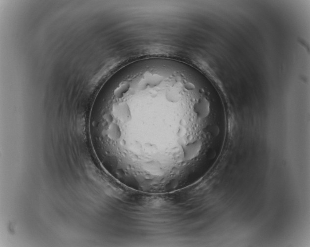 X0000103500249200809191952