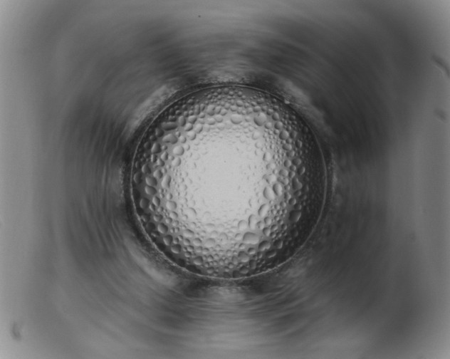 X0000103500250200809191952