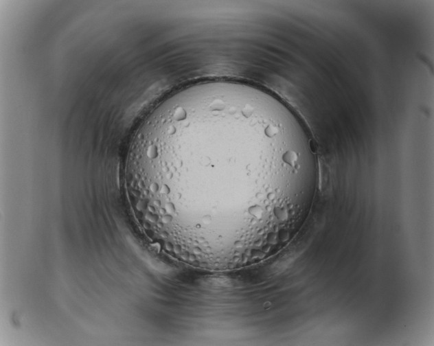 X0000103500253200809191952