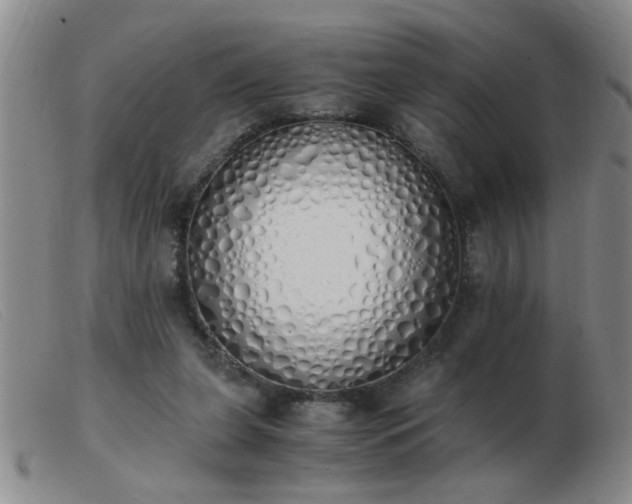 X0000103500255200809191952