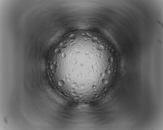 X0000103500257200809191952