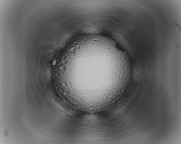 X0000103500259200809191952