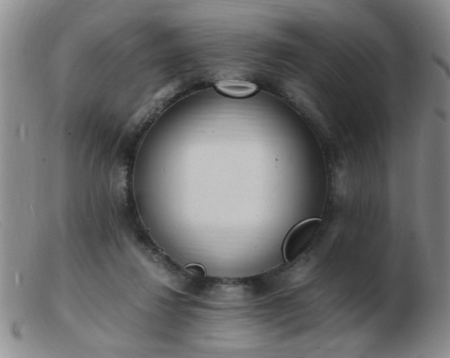 X0000103500260200809191952