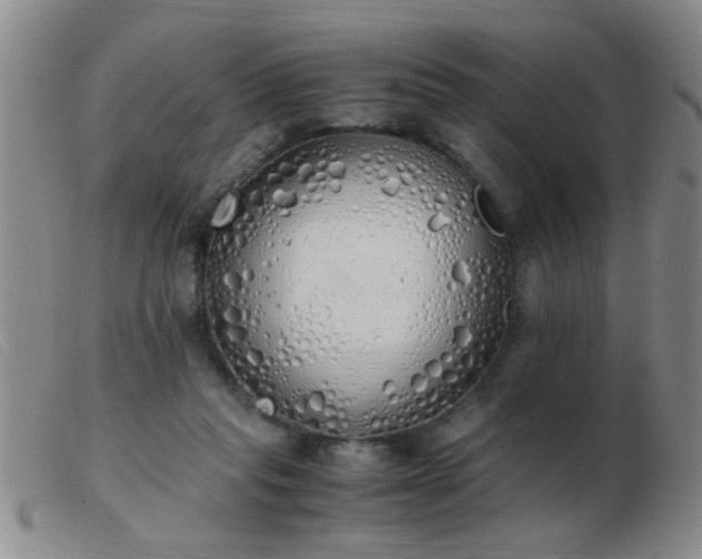 X0000103500261200809191952