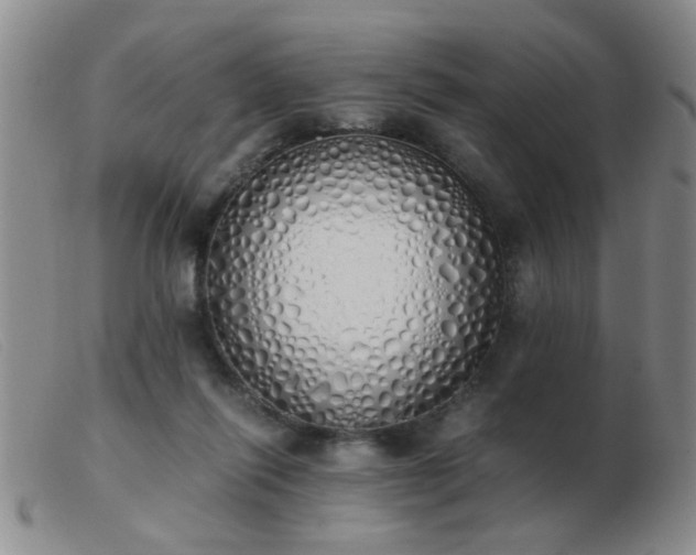 X0000103500262200809191952