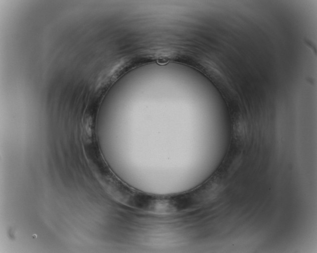 X0000103500264200809191952