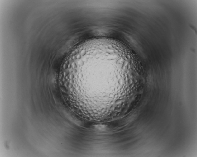 X0000103500265200809191952