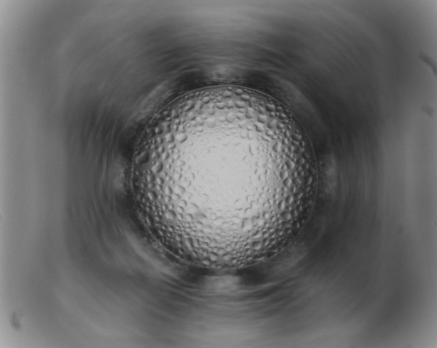 X0000103500266200809191952