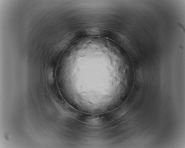 X0000103500267200809191952