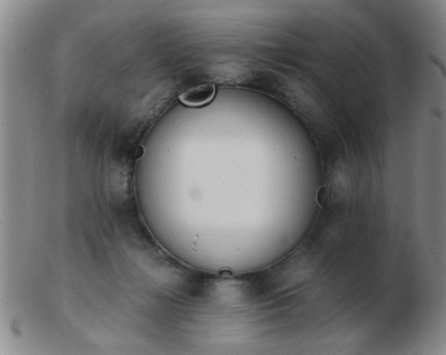 X0000103500268200809191952