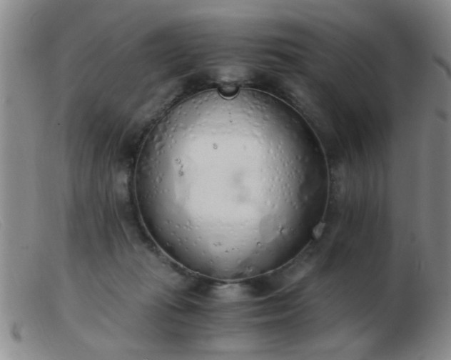 X0000103500269200809191952