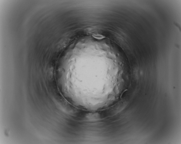 X0000103500271200809191952