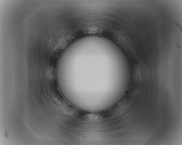 X0000103500272200809191952