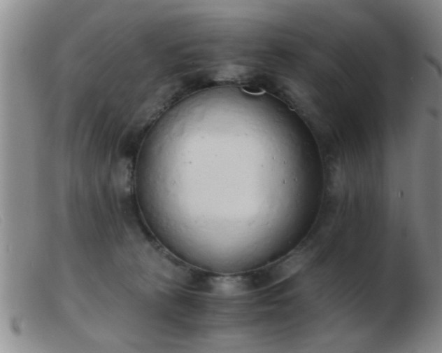 X0000103500273200809191952