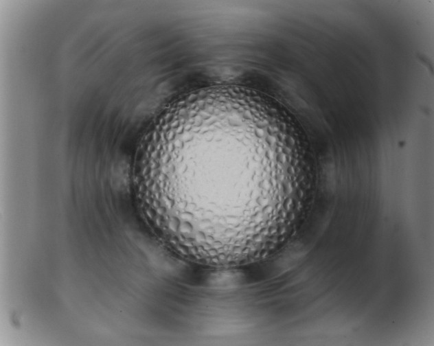 X0000103500274200809191952