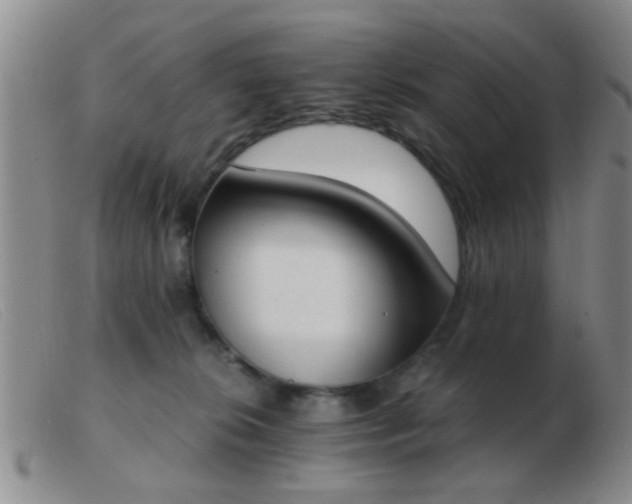 X0000103500276200809191952