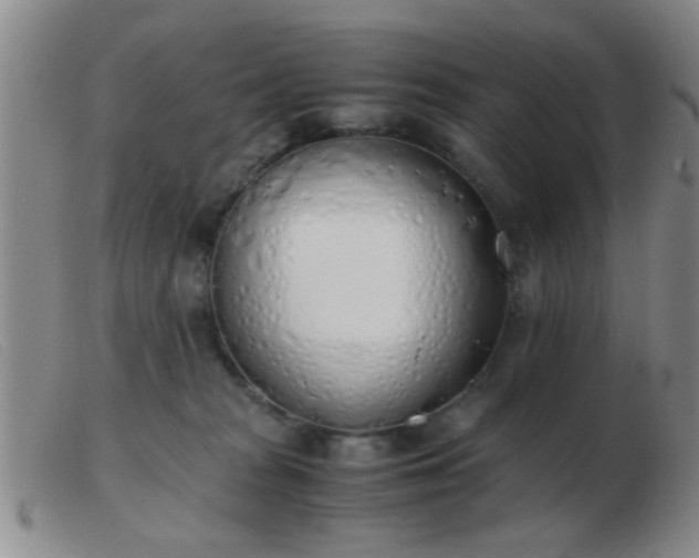 X0000103500277200809191952