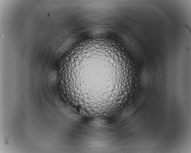 X0000103500278200809191952