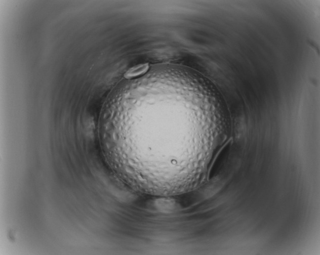 X0000103500279200809191952