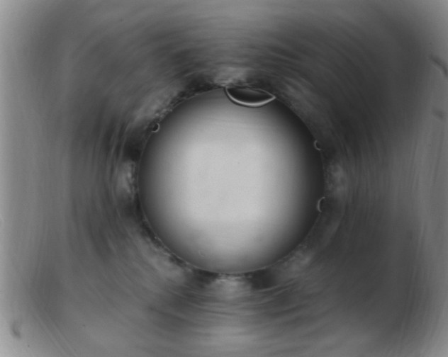 X0000103500280200809191952