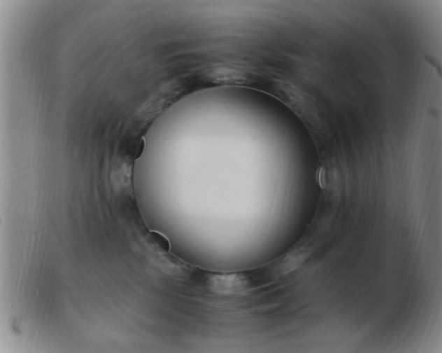 X0000103500281200809191952