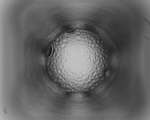 X0000103500282200809191952