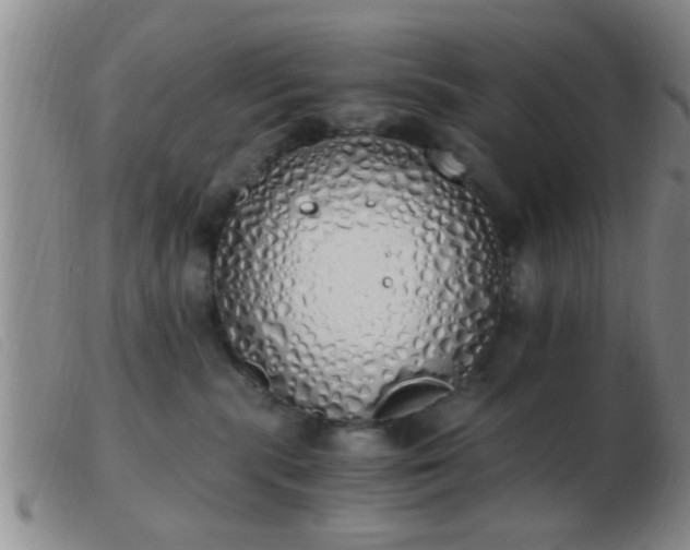 X0000103500283200809191952