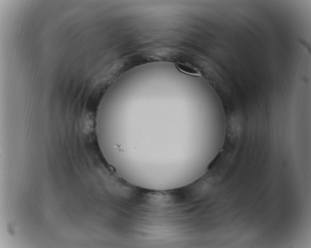 X0000103500284200809191952