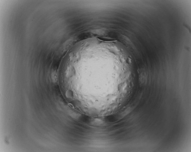 X0000103500285200809191952