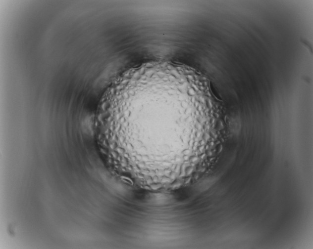 X0000103500286200809191952