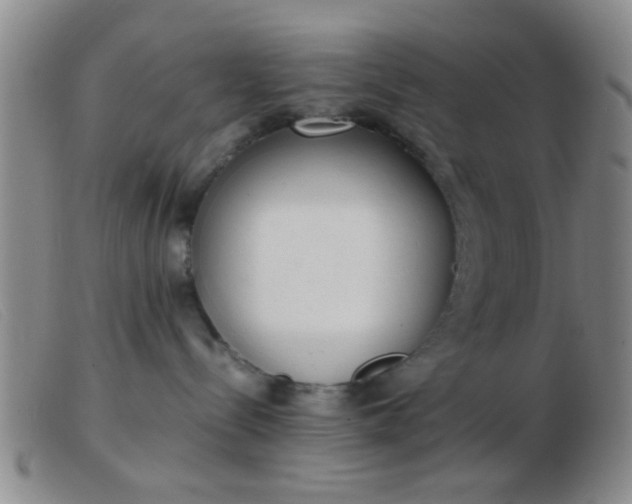 X0000103500288200809191952