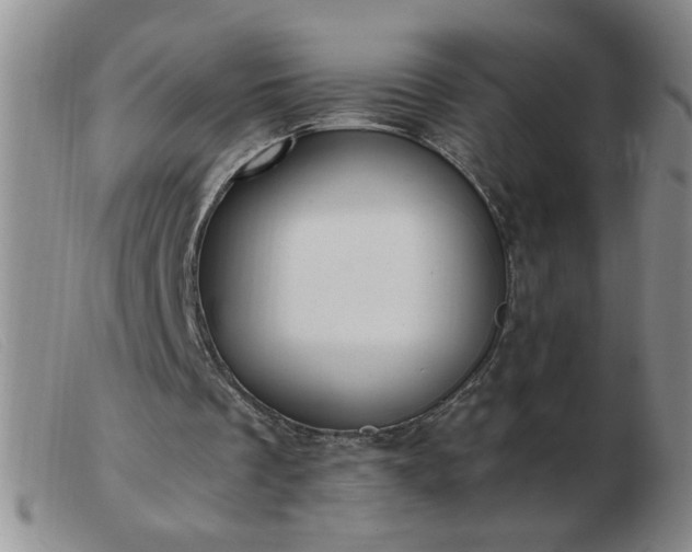 X0000103500289200809191952