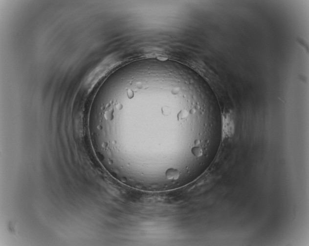 X0000103500291200809191951