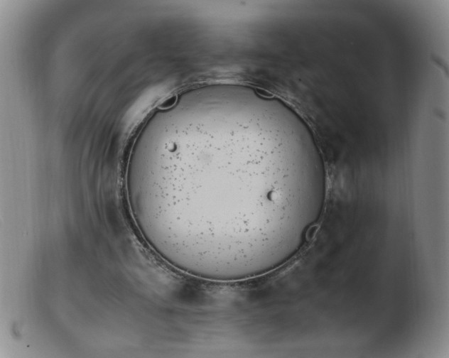 X0000103500293200809191951