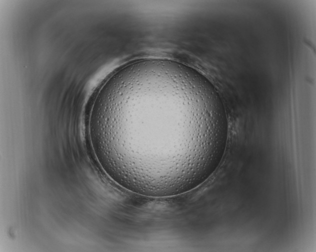 X0000103500294200809191951