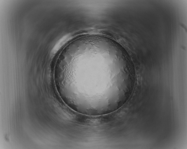 X0000103500295200809191951