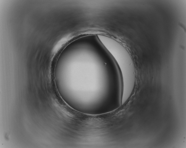 X0000103500296200809191951