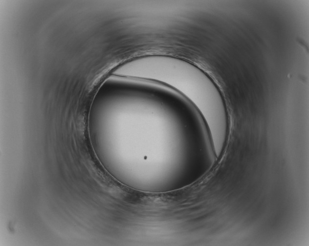 X0000103500297200809191951