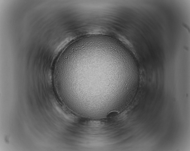 X0000103500298200809191951