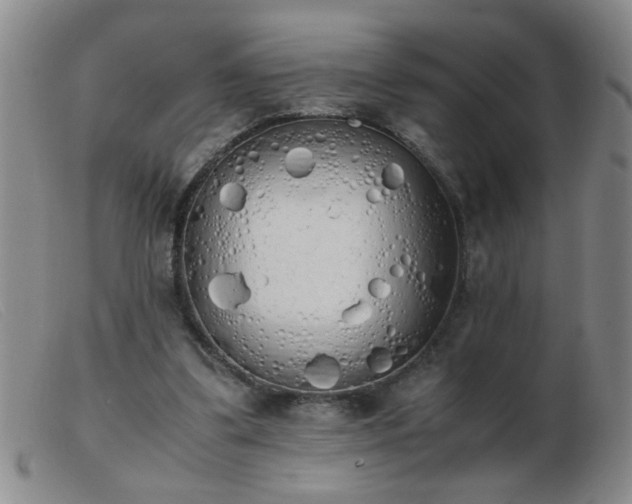 X0000103500299200809191951