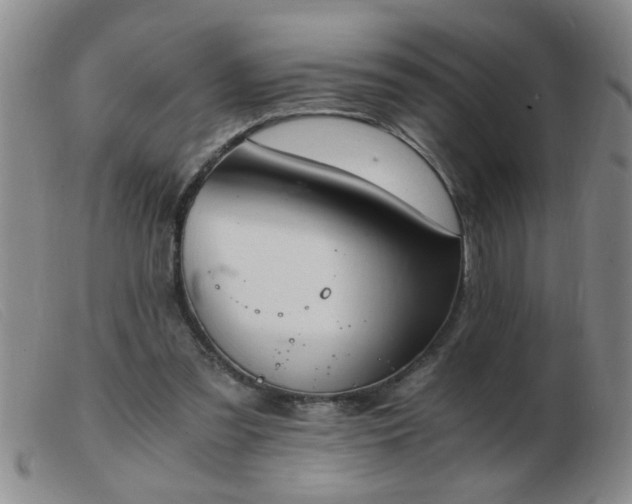 X0000103500301200809191951