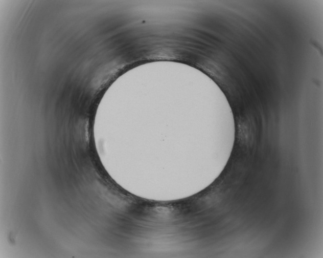 X0000103500302200809191951