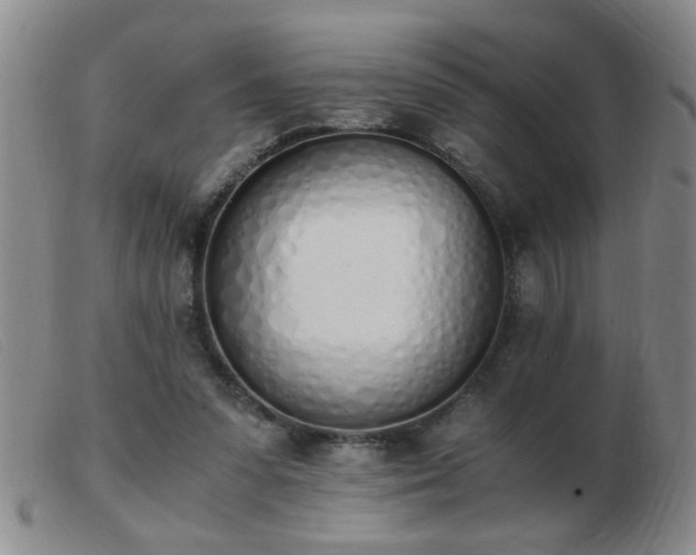 X0000103500303200809191951