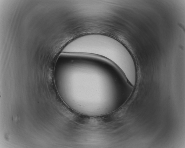 X0000103500305200809191951